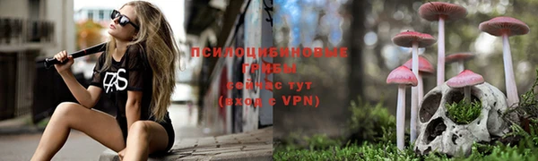 индика Армянск