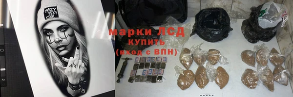 индика Армянск