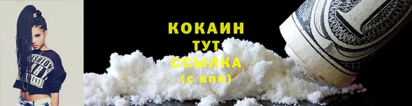 индика Березники