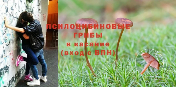 a pvp Арсеньев