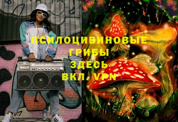 индика Армянск