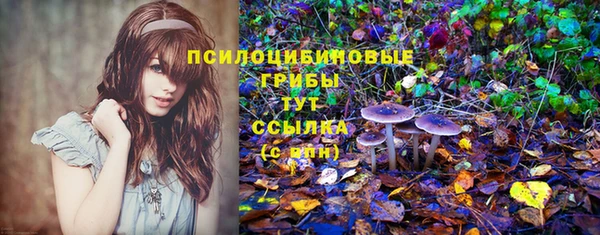 PSILOCYBIN Одинцово