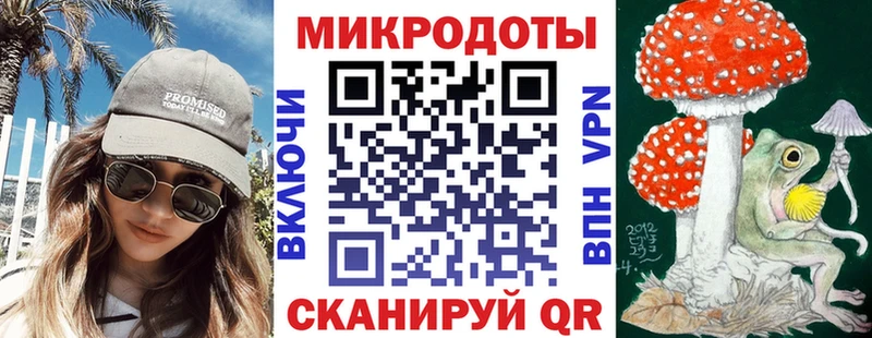 Галлюциногенные грибы Psilocybe  Белоярский 